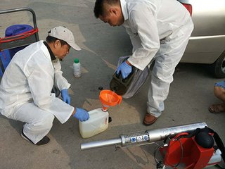 镇江灭蟑螂公司