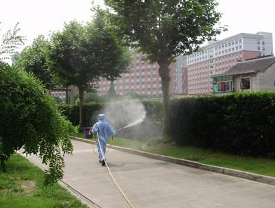 镇江灭鼠公司电话